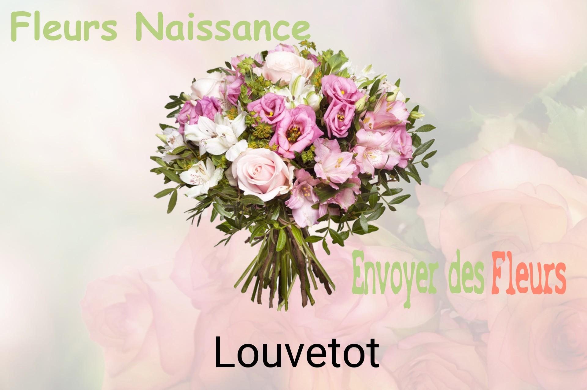 Bouquet de fleurs de naissance livré à Louvetot